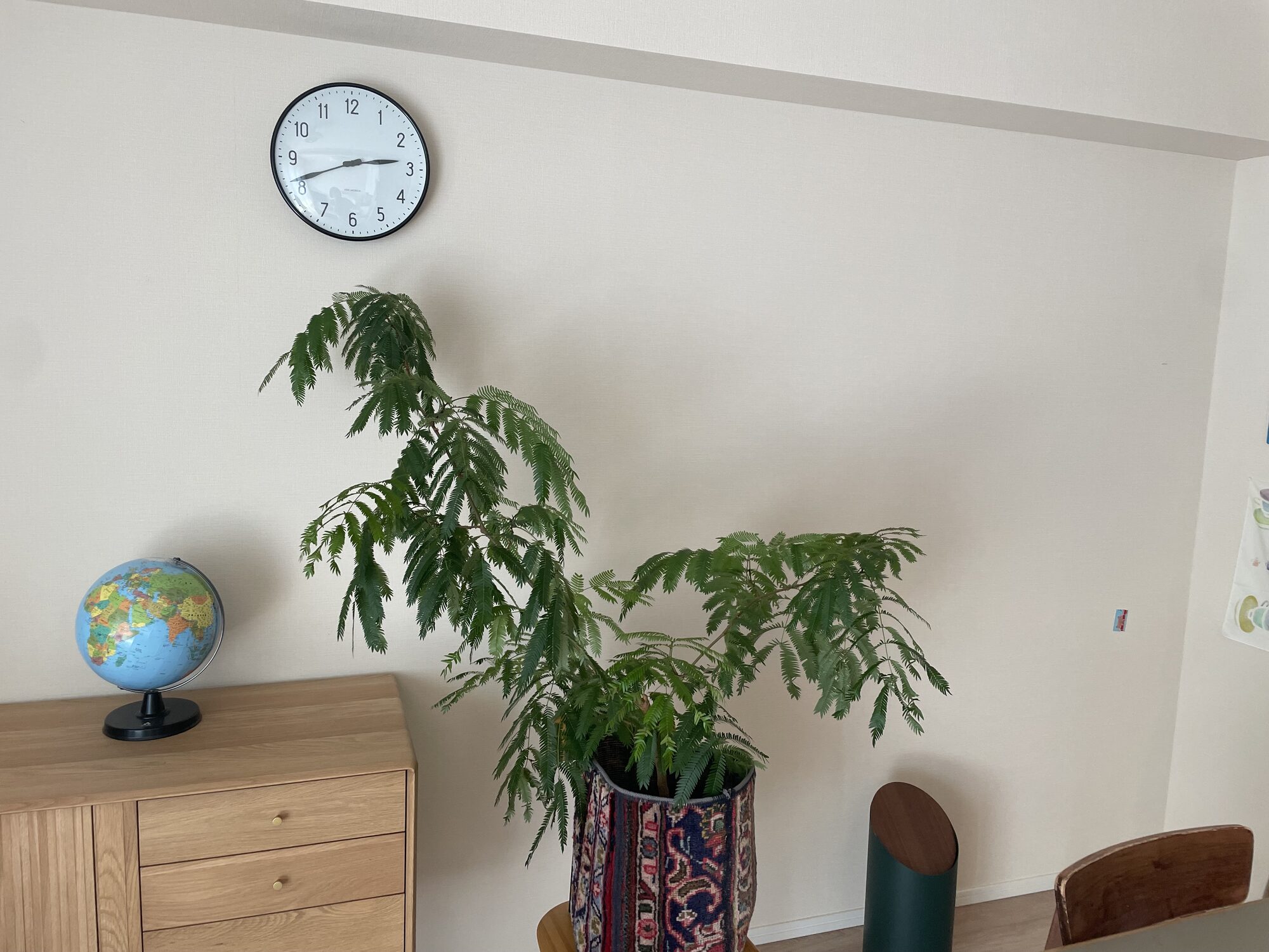 時計・植物・家具のある生活感のあるリビング