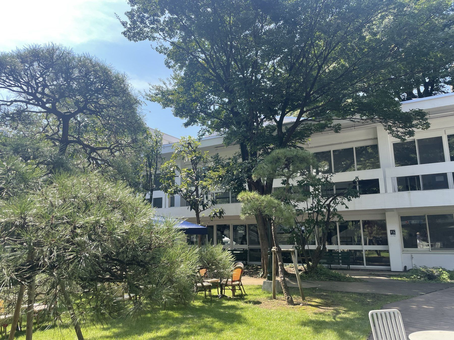 庭から見た白い日仏学院の建物と青空
