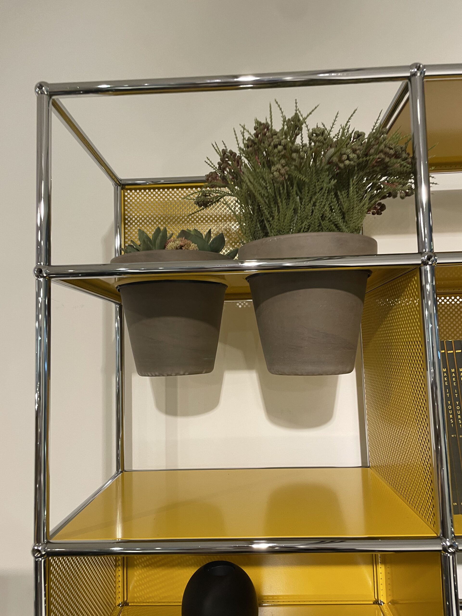 黄色のUSMハラーの棚板に植物の鉢を組み込んだ店内展示